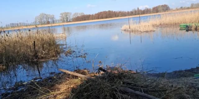 Jezioro Strykowskie: tajemnice, które warto poznać oraz atrakcje Jezioro Strykowskie: tajemnice, które warto poznać oraz atrakcje