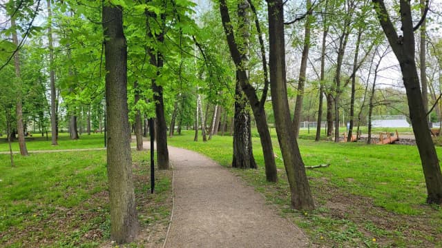 Najlepsze atrakcje w Proszowicach, które musisz zobaczyć i przeżyć Najlepsze atrakcje w Proszowicach, które musisz zobaczyć i przeżyć