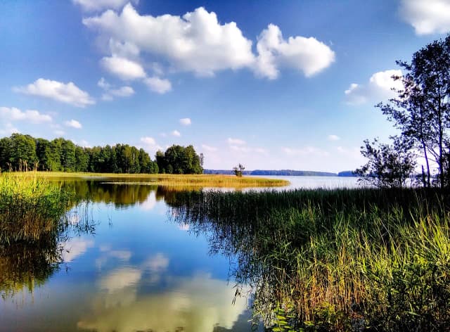 Jezioro Dobre Pomorskie – ukryty skarb dla miłośników przyrody Jezioro Dobre Pomorskie – ukryty skarb dla miłośników przyrody