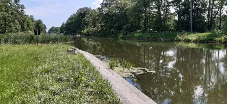 Atrakcje w Szubinie: Odkryj ukryte skarby i ciekawe miejsca Atrakcje w Szubinie: Odkryj ukryte skarby i ciekawe miejsca
