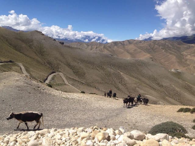 Nepal kiedy jechać: najlepszy czas na trekking i wędrówki Nepal kiedy jechać: najlepszy czas na trekking i wędrówki