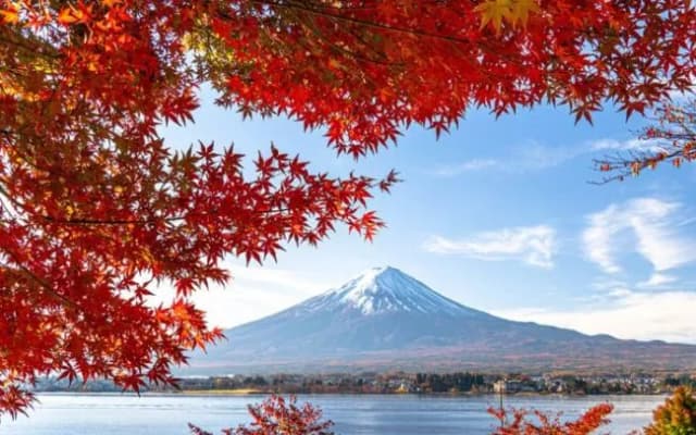 Kiedy najlepiej jechać do Japonii, aby uniknąć tłumów i cieszyć się pięknem? Kiedy najlepiej jechać do Japonii, aby uniknąć tłumów i cieszyć się pięknem?